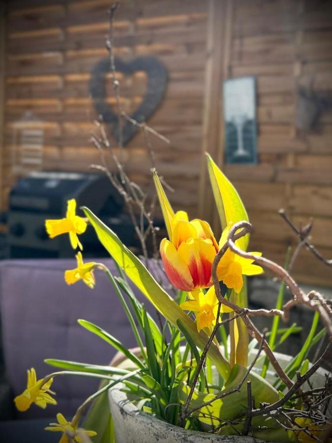 Ferienwohnungen Christina Traben-Trarbach Exteriör bild