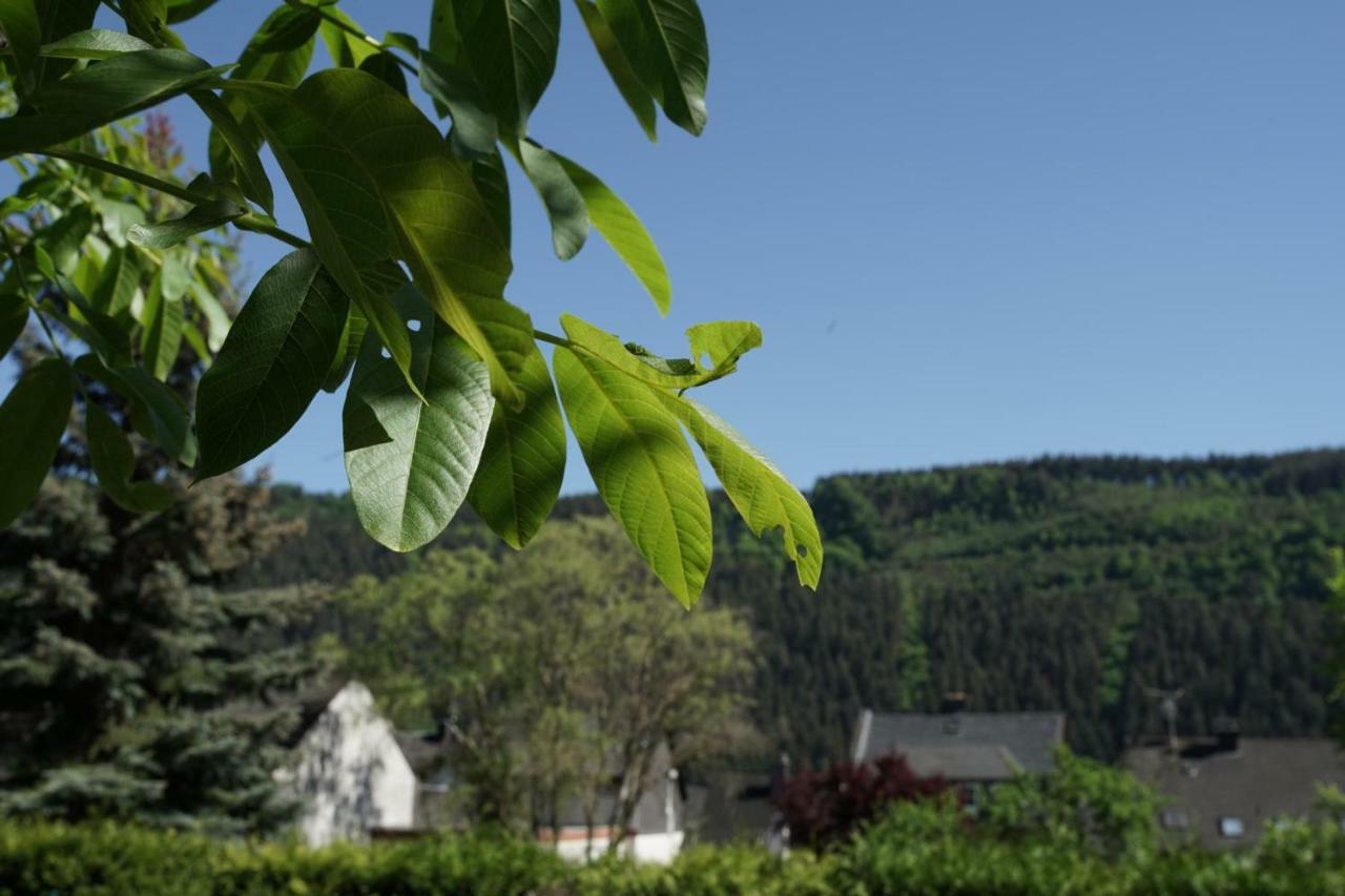 Ferienwohnungen Christina Traben-Trarbach Exteriör bild